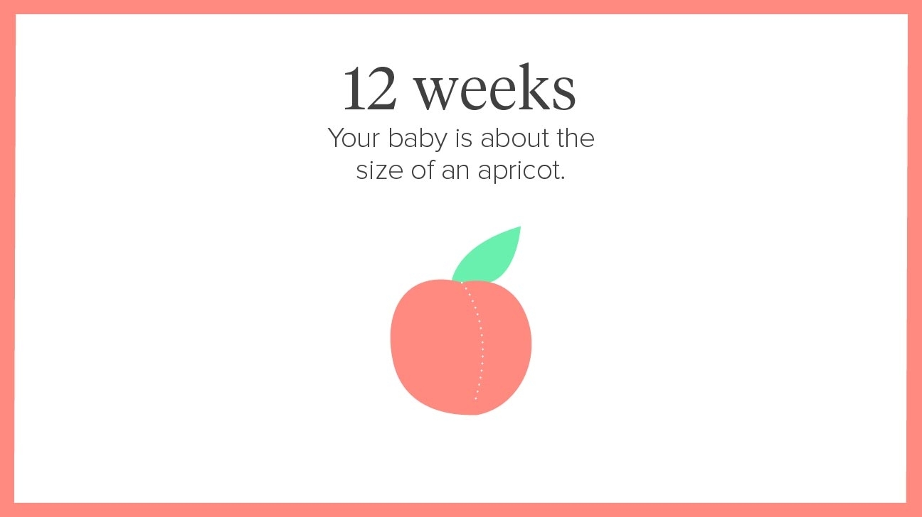 12 Weeks Pregnant: Symptoms, Tips, And More throughout Pregnancy Stages Months And Weeks