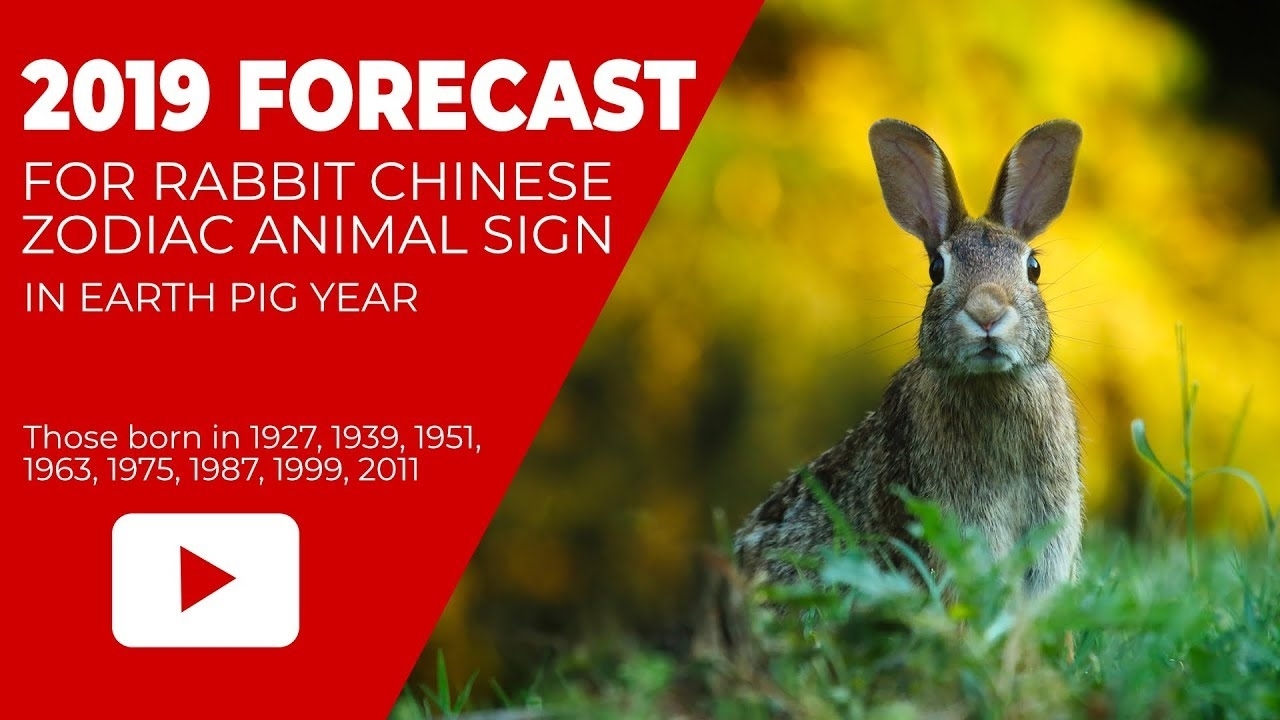 2019 Rabbit Zodiac Horoscope Fortune Forecast For Year Of Earth Pig within Zodiac For Birth Year 1951
