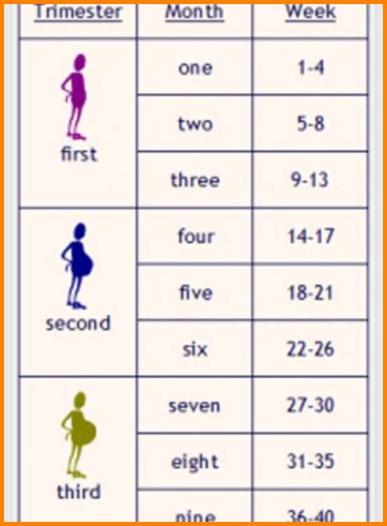 8+ Weeks To Month Pregnancy Calculator | Sony Asong in Pregnancy Calendar Month By Month With Image