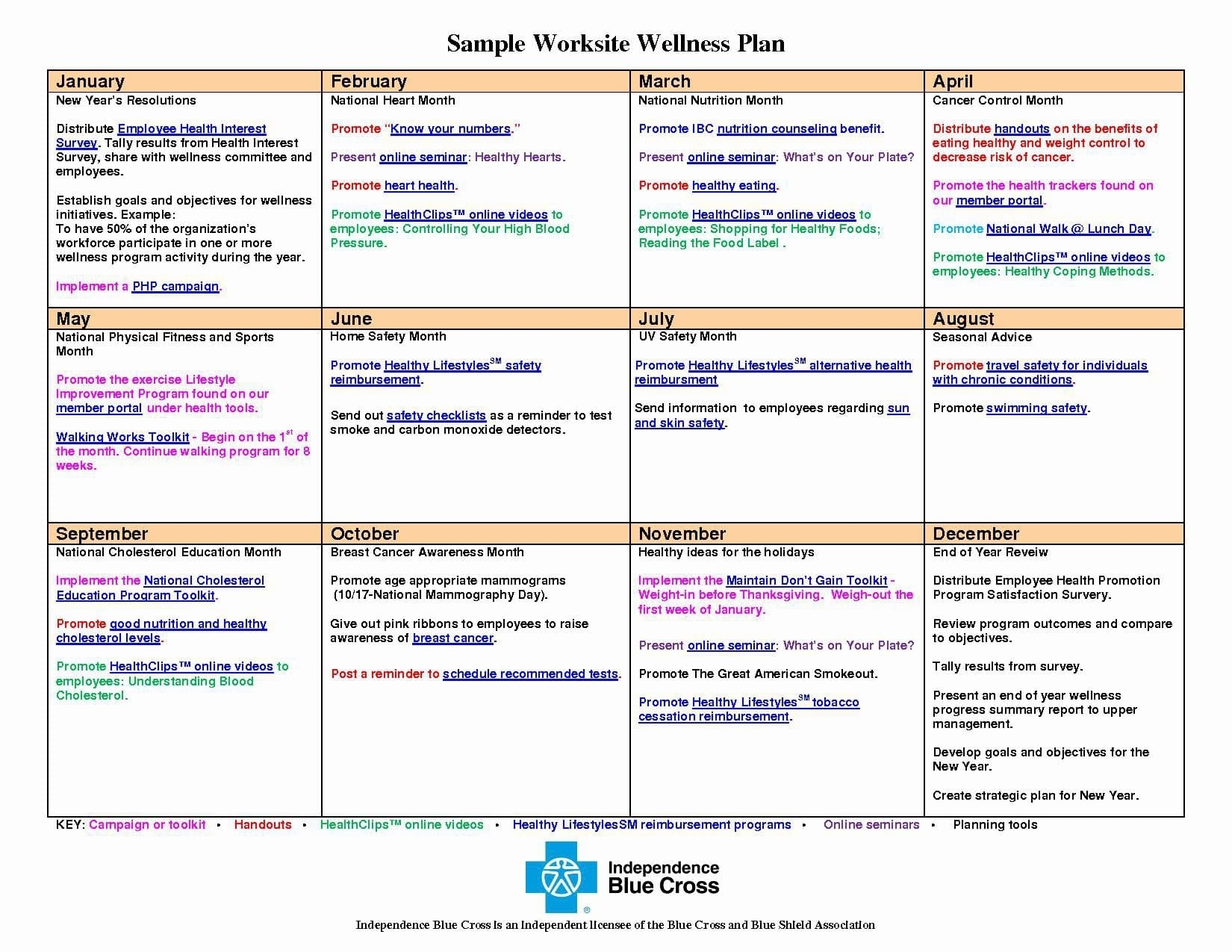9+ Wellness Recovery Action Plan Examples - Pdf | Examples inside Blank Weekly Calendar For Structured Recovery