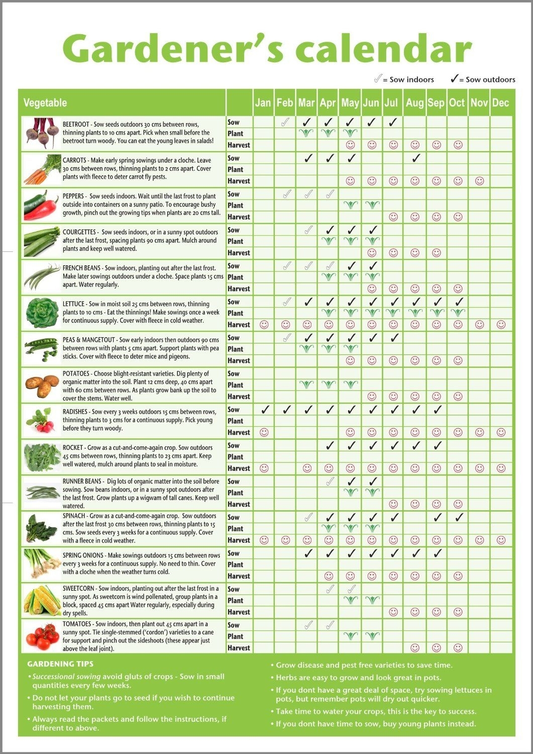 A3 Novice Gardener&#039;s/beginner&#039;s Vegetable Growing Gardening Calendar regarding When To Plant Vegetables Calendar
