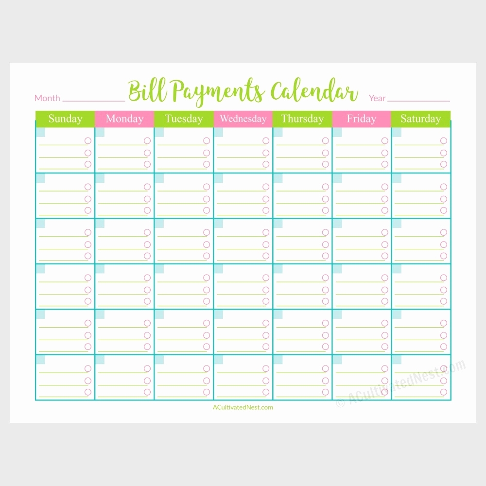 Monthly Bill Schedule Template 