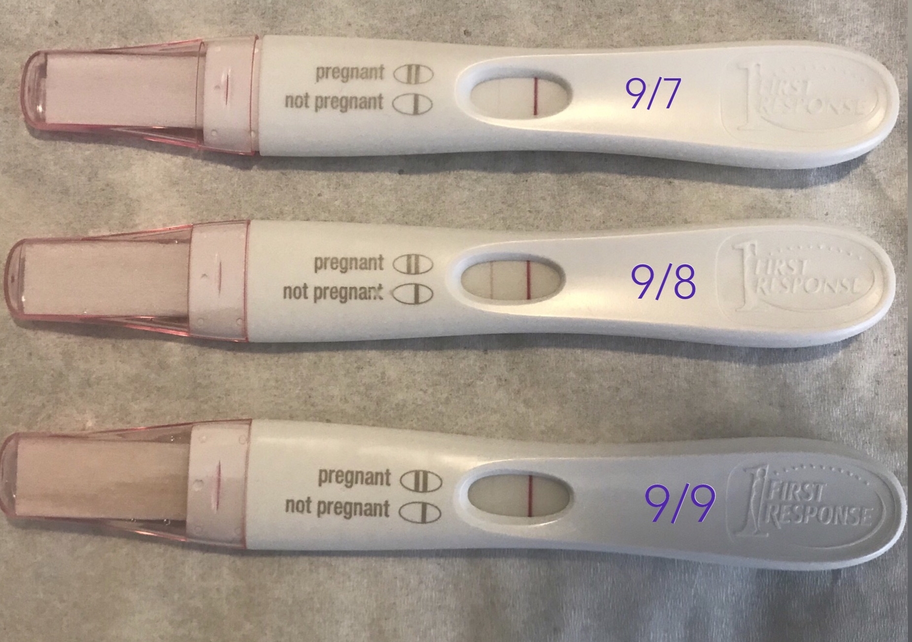 Confused Pregnancy Tests Lighter Next Day - Trying To Conceive pertaining to Day By Day Pregnancy Pictures