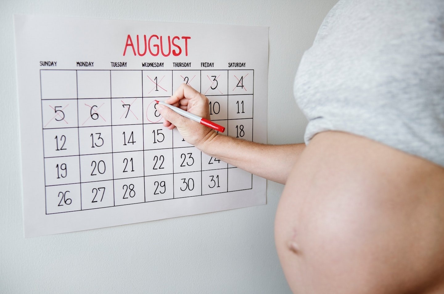 pregnancy calculator from conception to due date