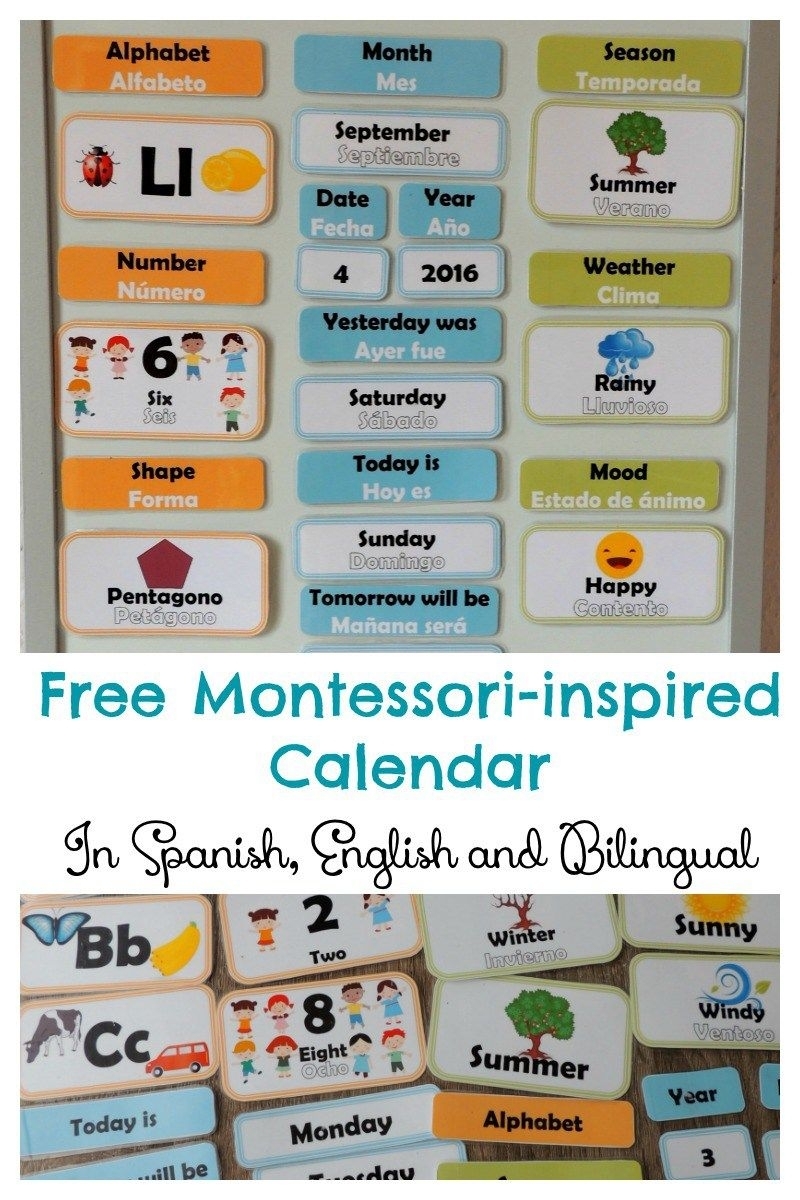 Free Hands-On Bilingual Calendar For Children (English-Spanish within Birthday Calendar Montessori For Print