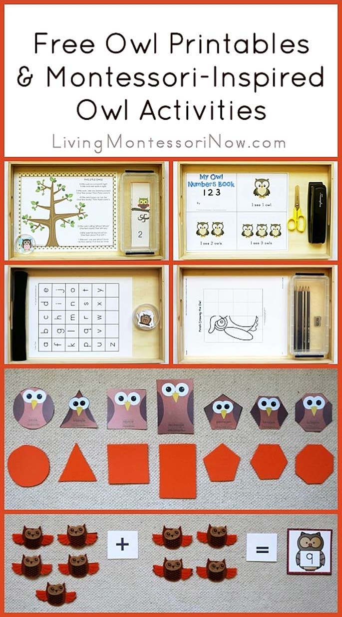 Free Owl Printables And Montessori-Inspired Owl Activities with Birthday Calendar Montessori For Print