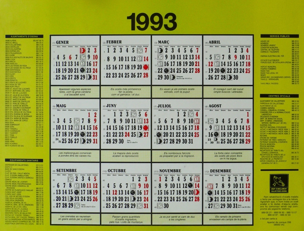 1993 Hindi Calendar By Tithi Patttra