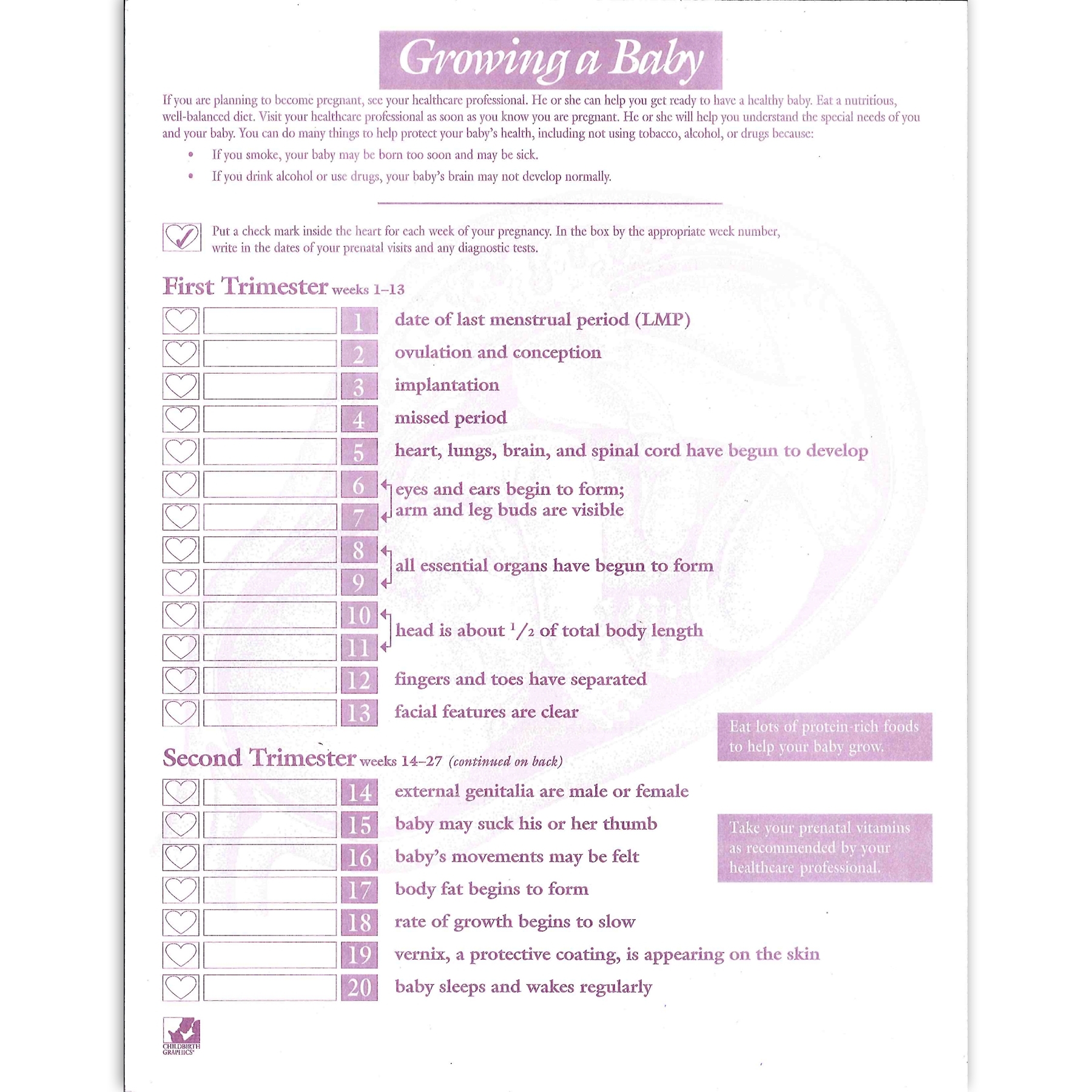 Growing A Baby Pregnancy Tear Pad | Childbirth Graphics for Pregnancy Timeline Week By Week