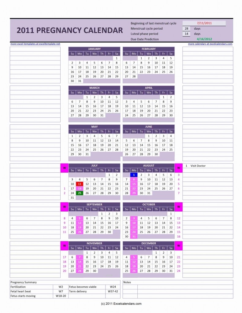 Pregnancy Calendar Month By Month With Image - Calendar ...