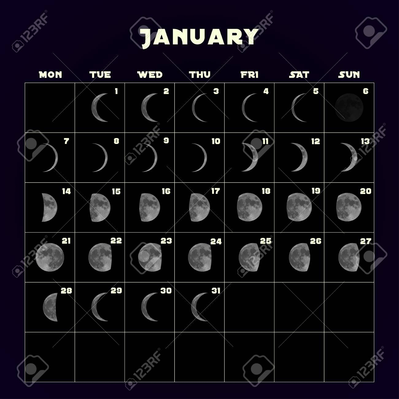 Moon Phases Calendar For 2019 With Realistic Moon. January. Vector throughout Phases Of The Moon Calendar