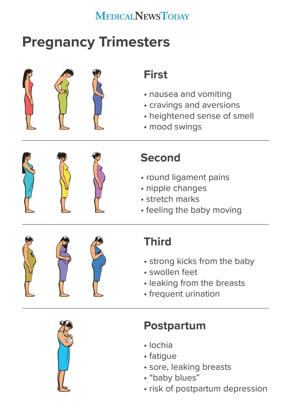 Pregnancy Timeline Week By Week 