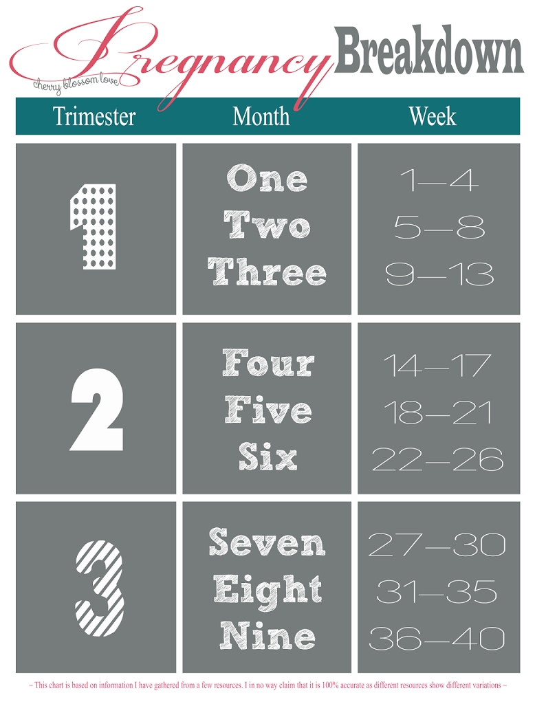 Pregnancy Week, Month, Trimester Chart | Momma To Be | Trimester throughout Pregnancy Week To Month Calendar