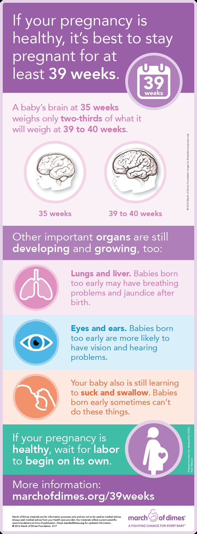 Pregnancy Weekweek | March Of Dimes within Pregnancy Timeline Week By Week