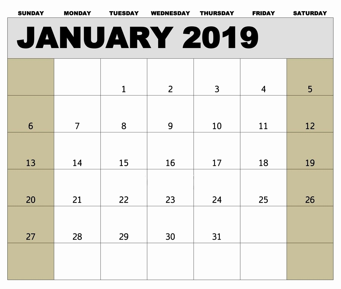 Printable Monthly Calendar 2019 Ireland January 2019 Biweekly in Calendar Of Biweekly Pay Dates