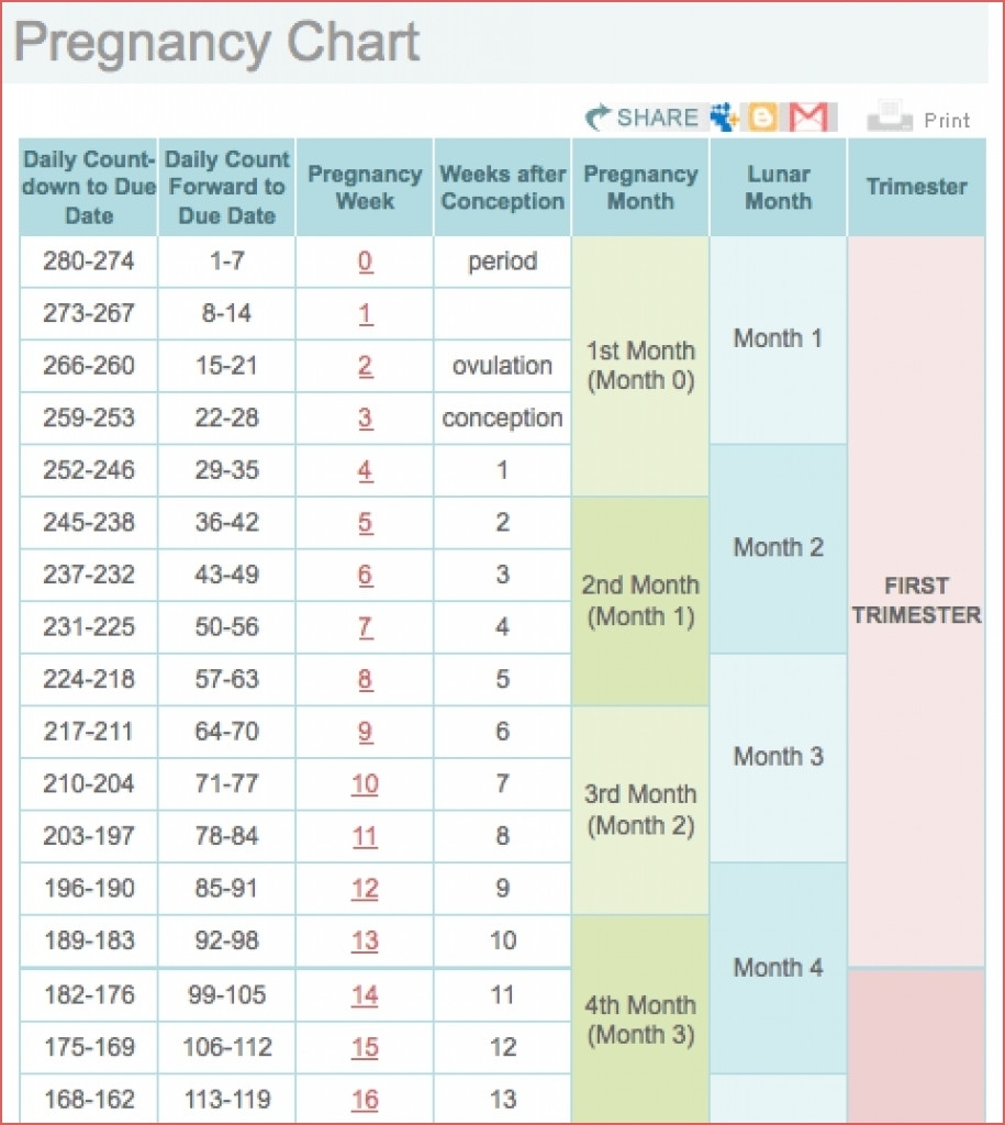 Printable Pregnancy Calendar Weekweek Ovulation Calendar Excel for Pregnancy Week By Week Calendar