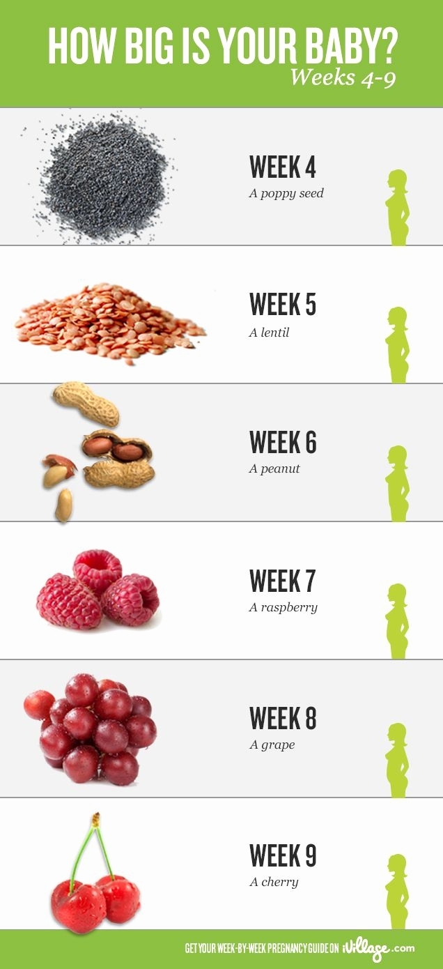 Week By Week Pregnancy Calendar Calendar Inspiration Design