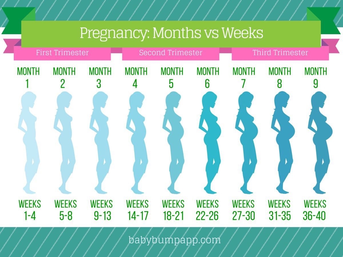 Progression Chart | Baby Things | Pregnancy Facts, Pregnancy Months regarding Pregnancy Calendar Month By Month With Image
