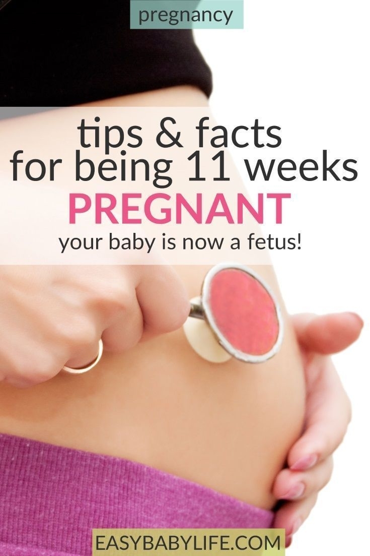 Tips &amp; Facts For Being 11-Weeks-Pregnant - Your Baby Is Now inside Pregnancy Timeline Week By Week