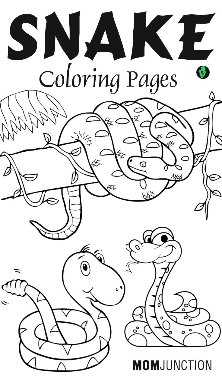 Top 25 Free Printable Snake Coloring Pages Online | 1St Grader inside Grade R Cover Page Colouring Page