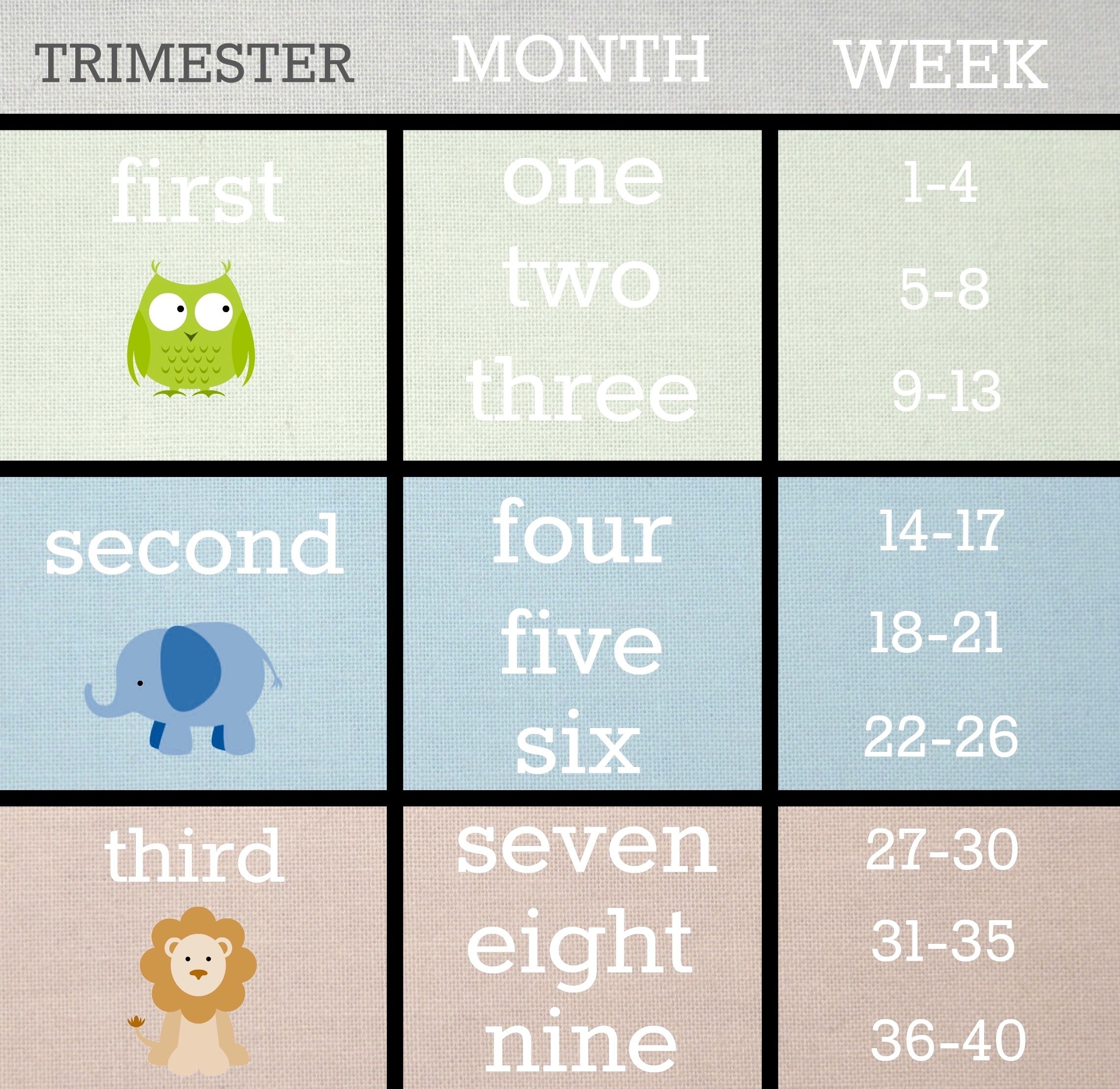 Trimester Break-Downs | Need To Know! | 21 Weeks Pregnant, 22 Weeks with regard to Pregnancy Calendar Weeks To Months