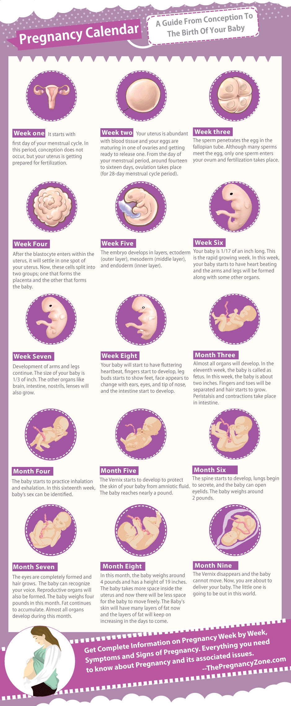 Week-By-Week | Rnobneonatal | Pregnancy Calendar, Pregnancy intended for Pregnancy Week By Week Calendar