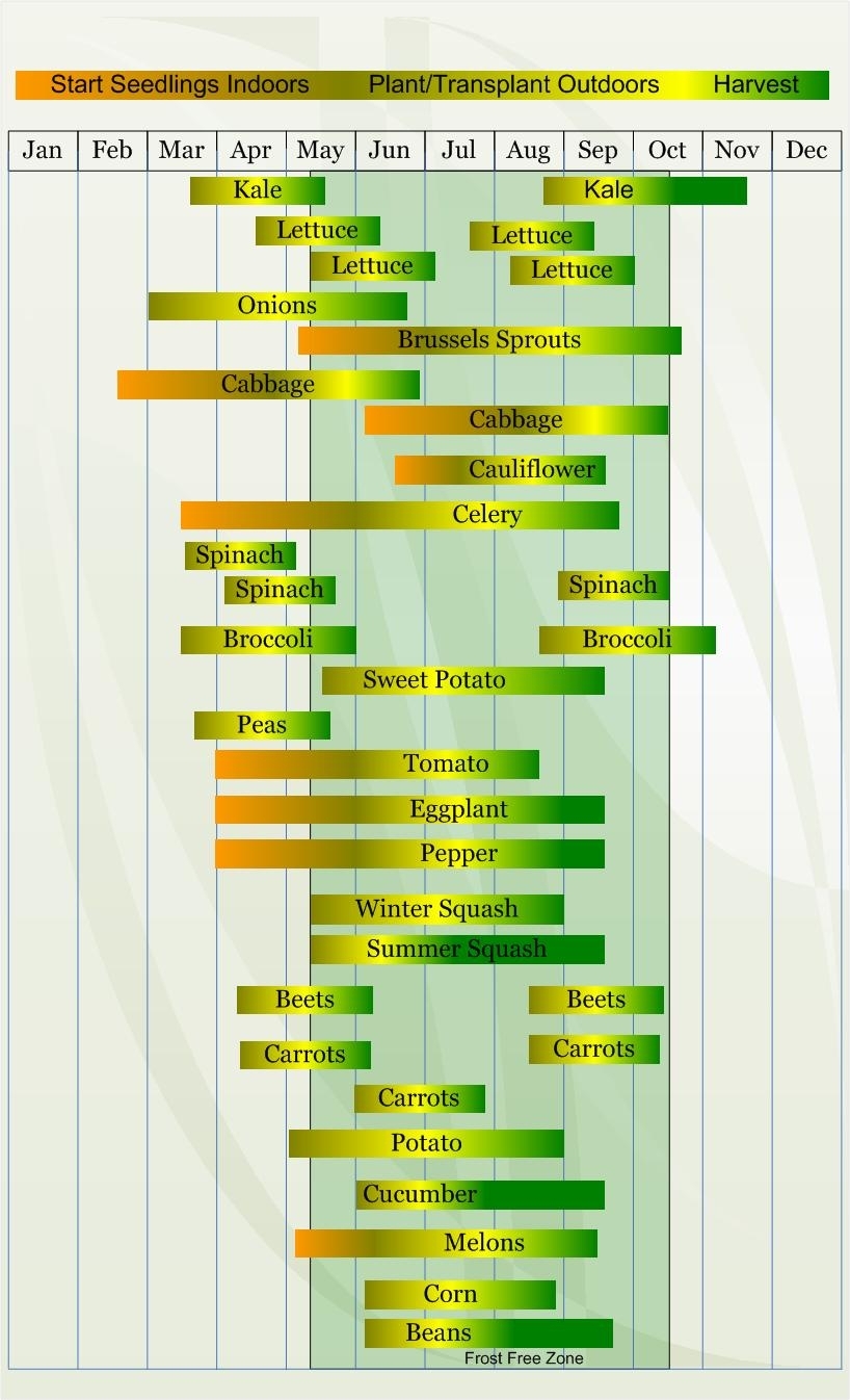 Zone 6 Vegetable Planting Calendar | Vegetable Planting Calendar regarding When To Plant Vegetables Calendar