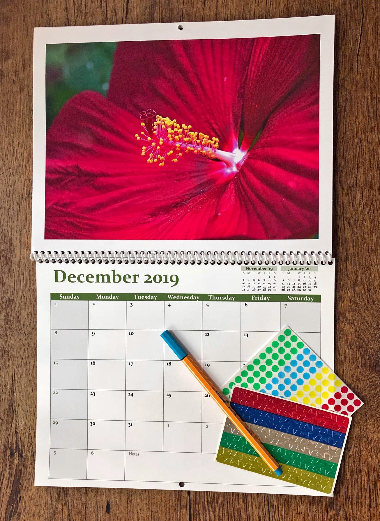 2019/2020 Photo Wall Calendar / 16 Month Wall Calendar / Flower Photo  Planner / Spiral Calendar with regard to Maroon 5 Calendar 2020
