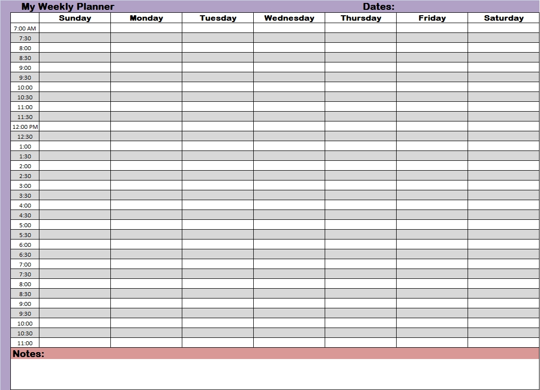 Schedule Template Blank Calendar With Times Fillable Weekly Daily in Editable Daily Calendar With Time Slots