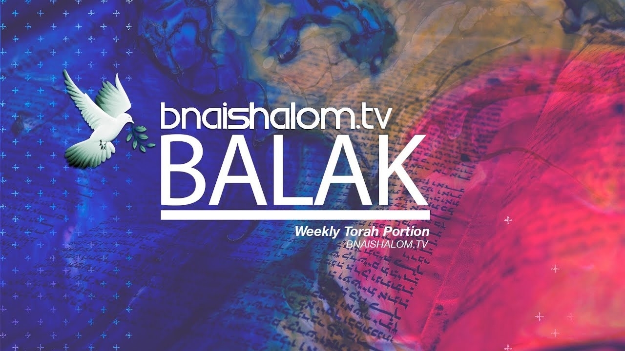 July 19 Shabbat Broadcast | Balak throughout Torah Portion Fo R August 82020