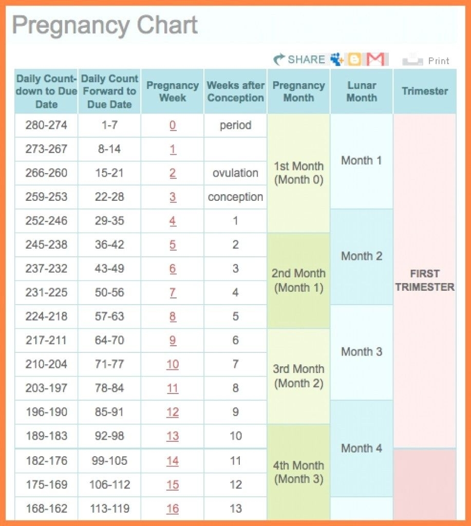 Pin On Printable Free Calendar Templates in Month By Month Pregnancy Calendar