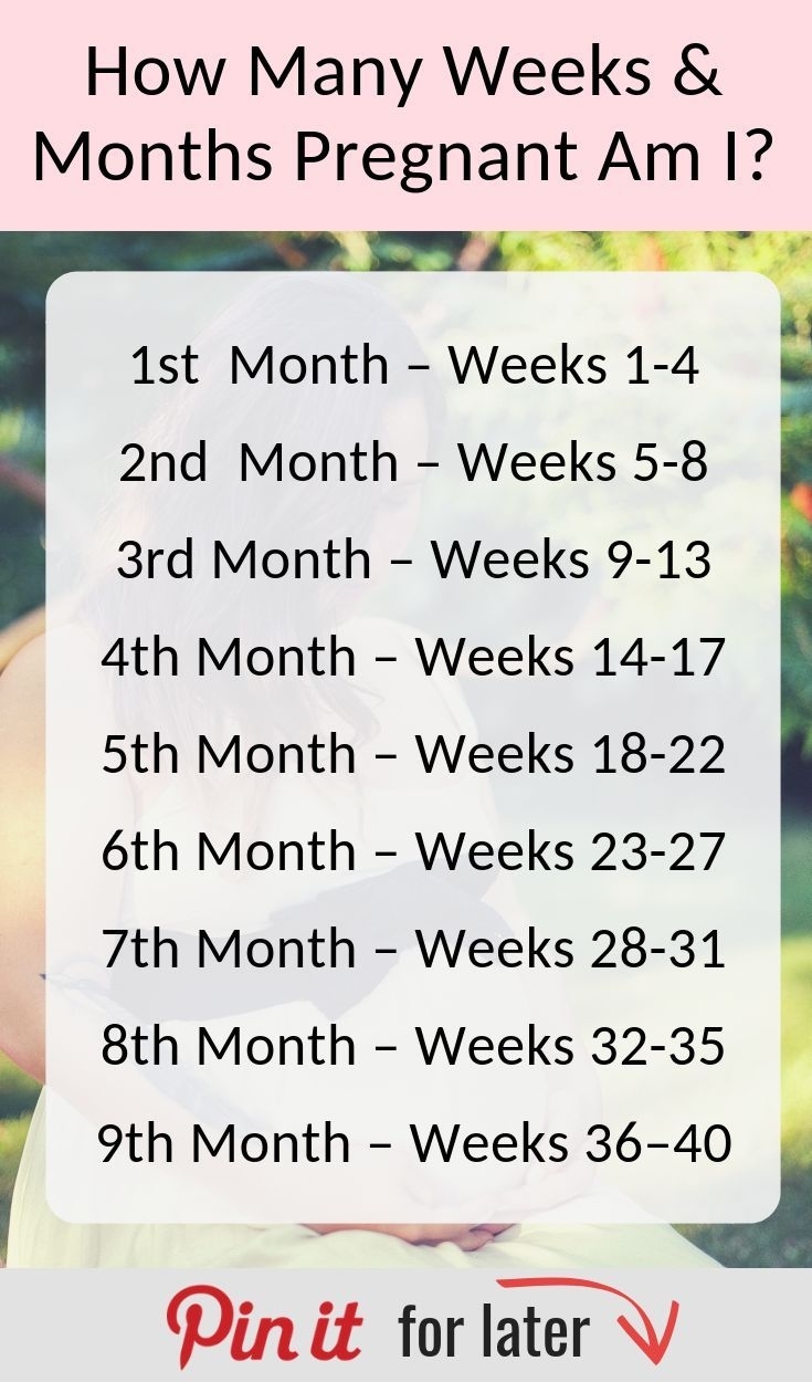 Pin On Weekweek Pregnancy Chart inside Month By Month Pregnancy Calendar