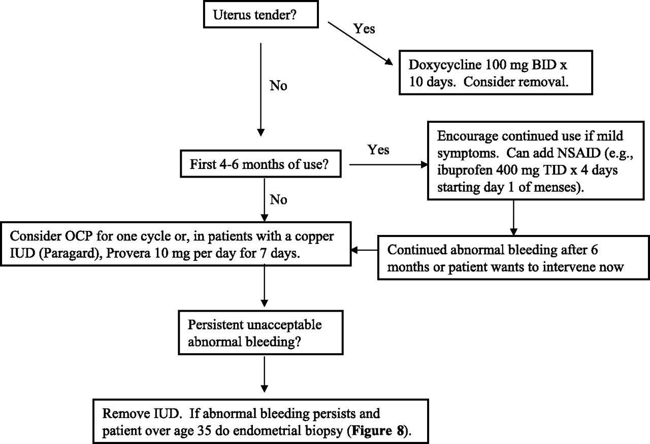 Abnormal Uterine Bleeding: A Management Algorithm | American