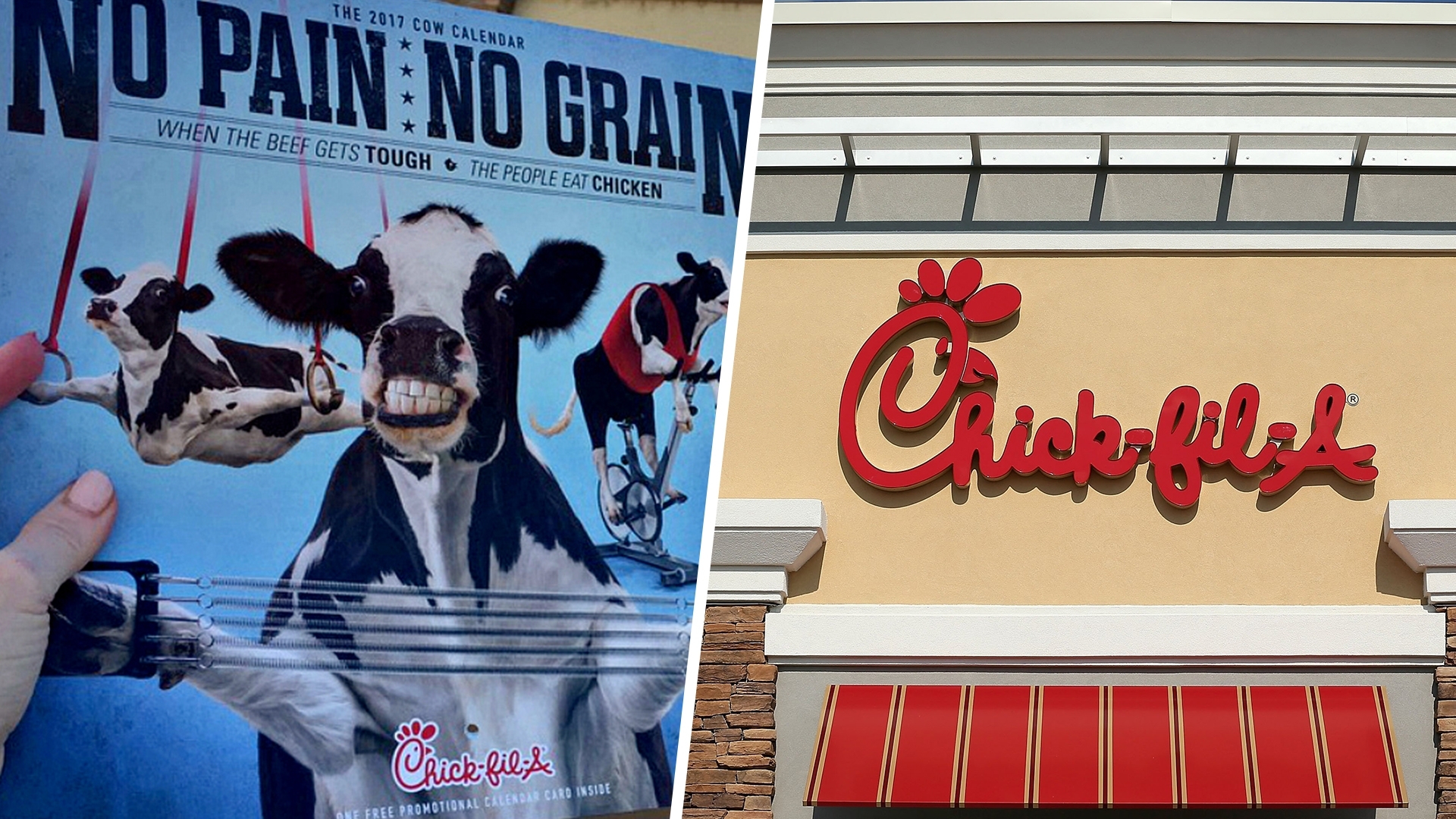Chick-Fil-A Is Retiring Its Cow Calendar And Internet Is Mad