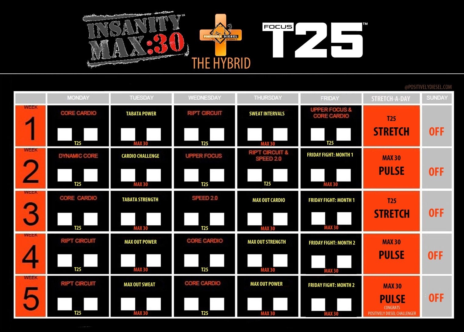 Hybrid_Max30&amp;T25 | Insanity Max, Insanity Max 30, Insanity