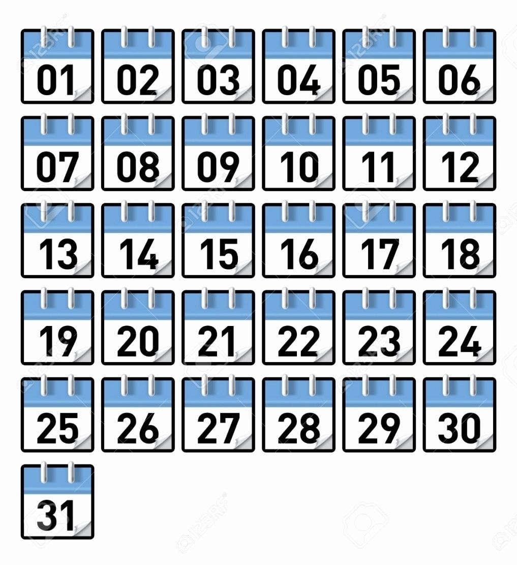 Image Result For 1-31 | Printable Calendar Numbers, Calendar