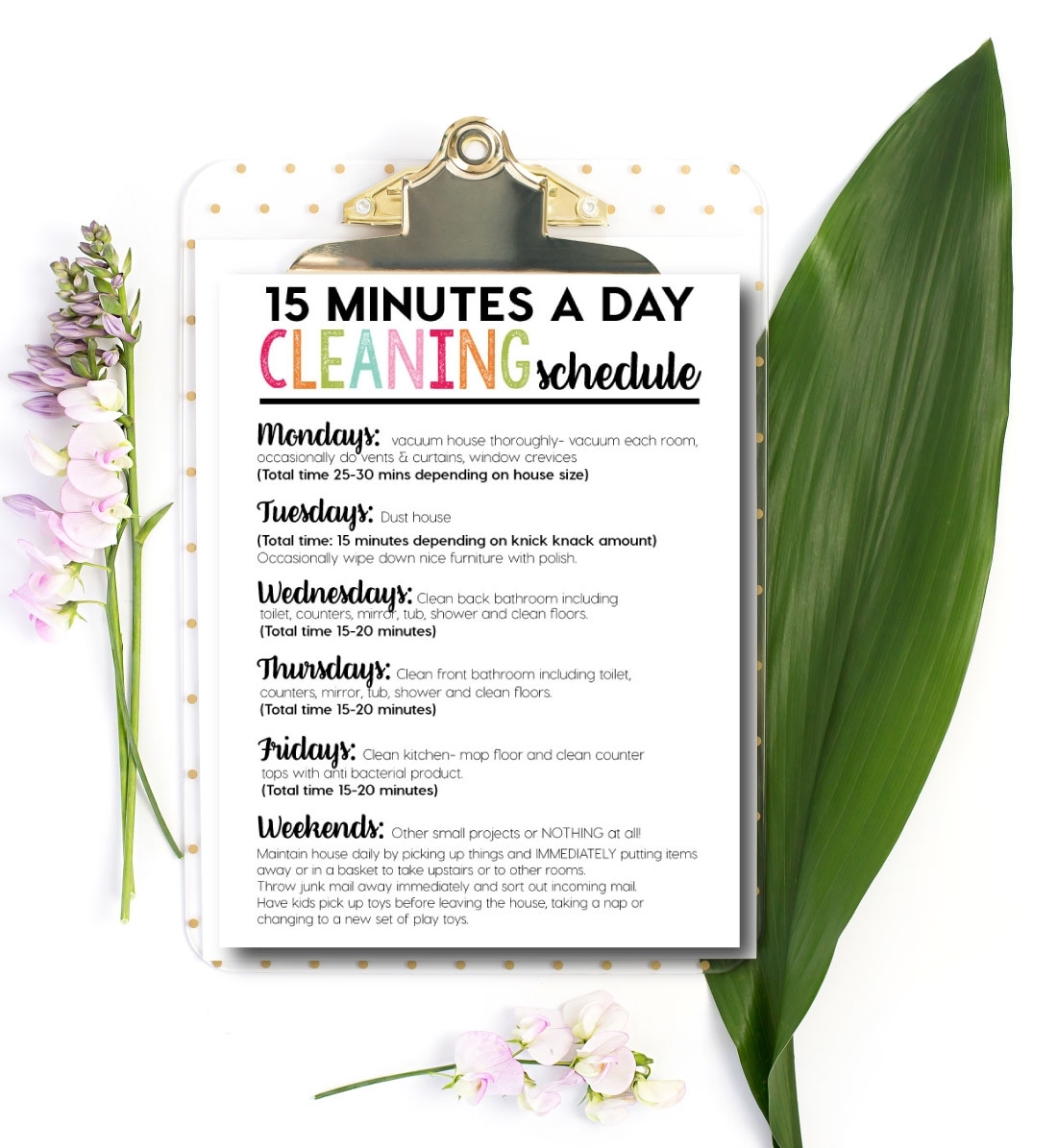 Printable Daily Cleaning Schedule