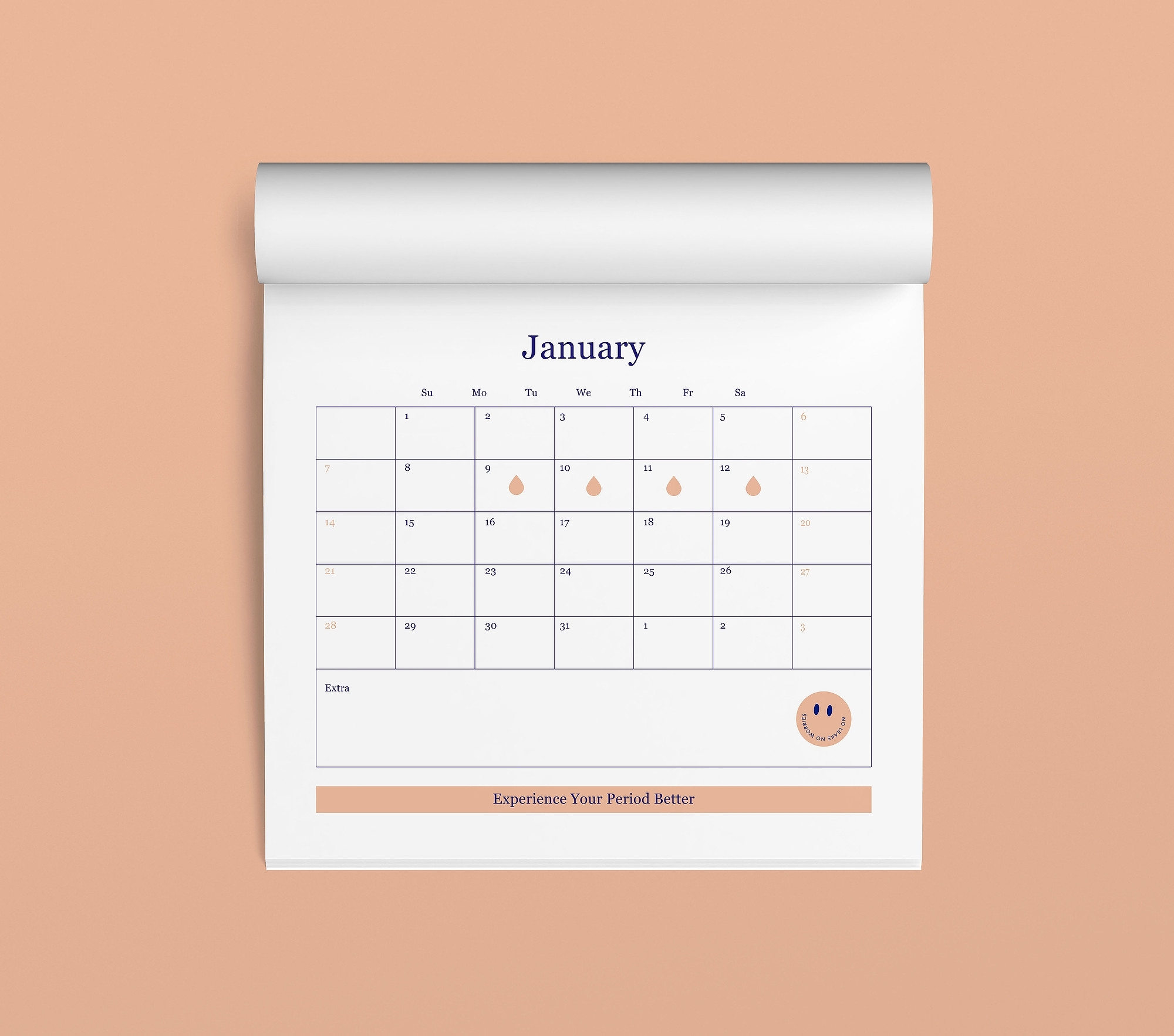 Tax Diary December 2020/January 2021