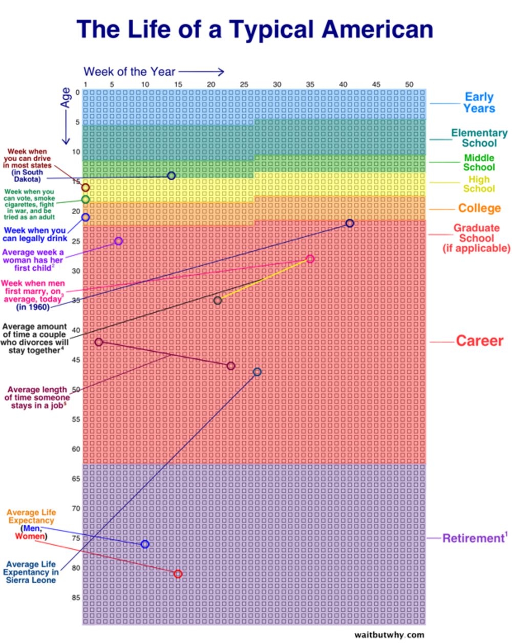 This Chart Shows The Life Of A Typical American In Weeks