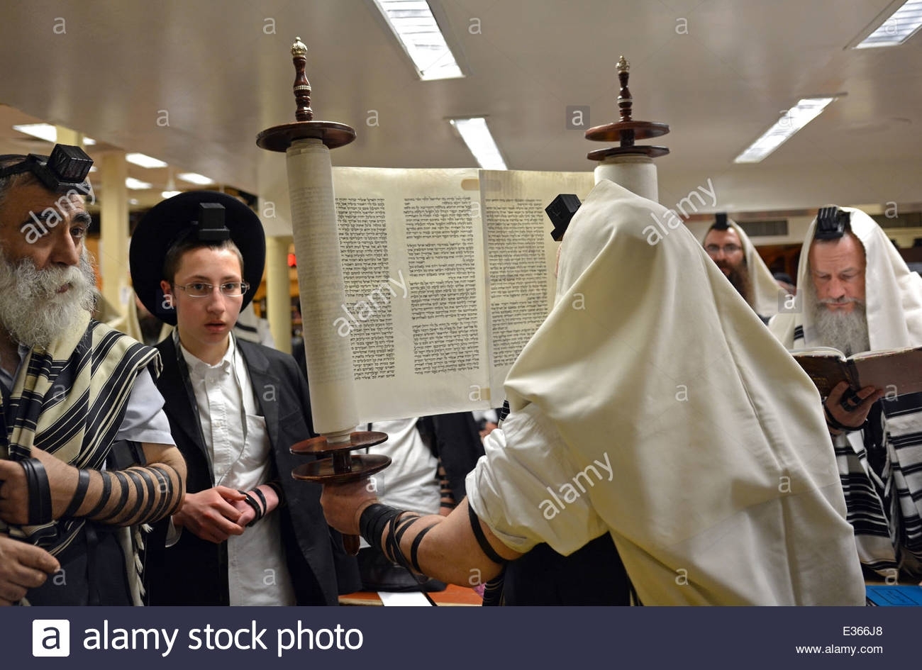 Torah Scroll Raised After A Reading At Morning Services At A with What Is The Next Reading For Torah