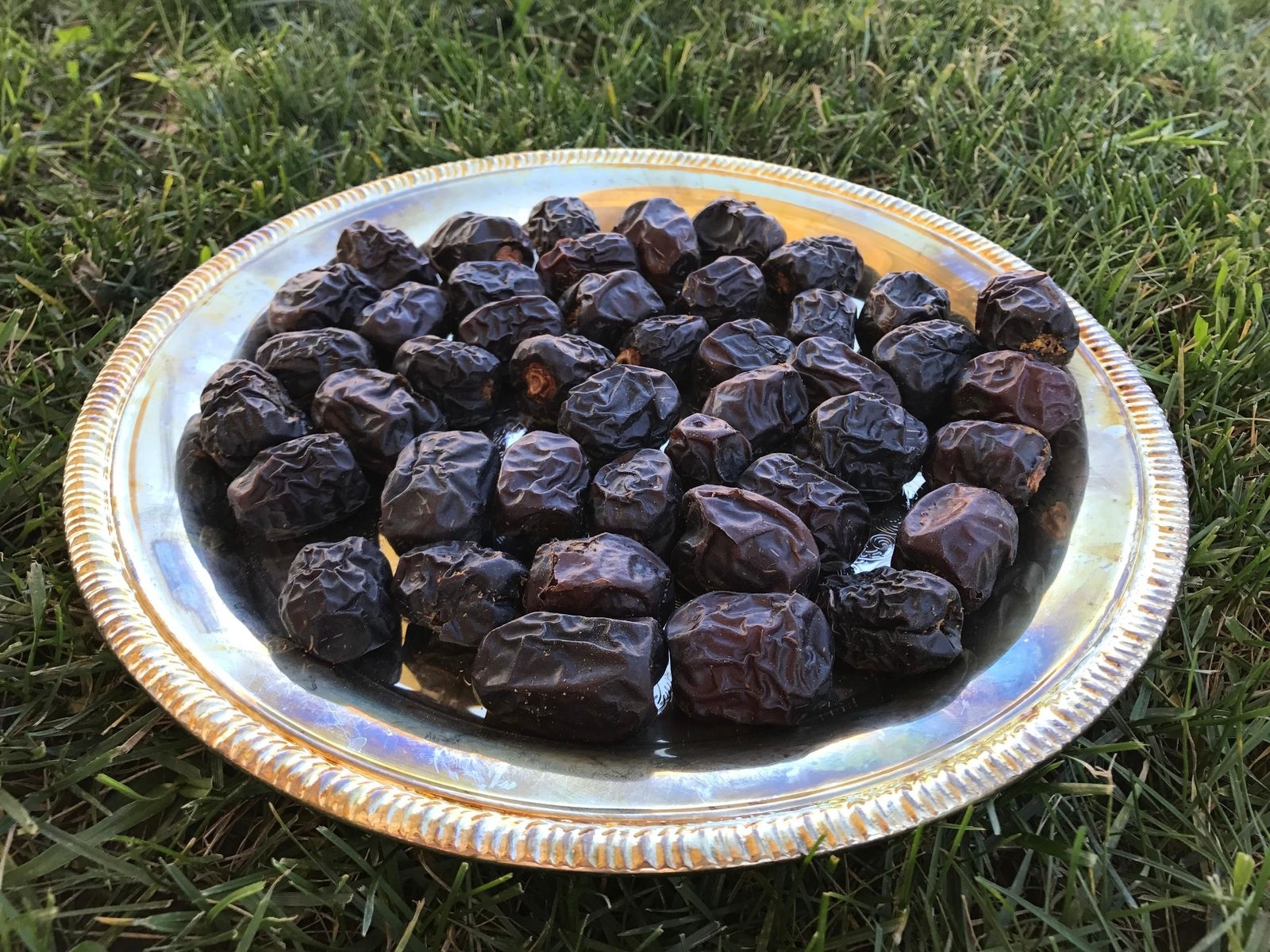 Why The Scrumptious Date Is So Important To The Muslim World