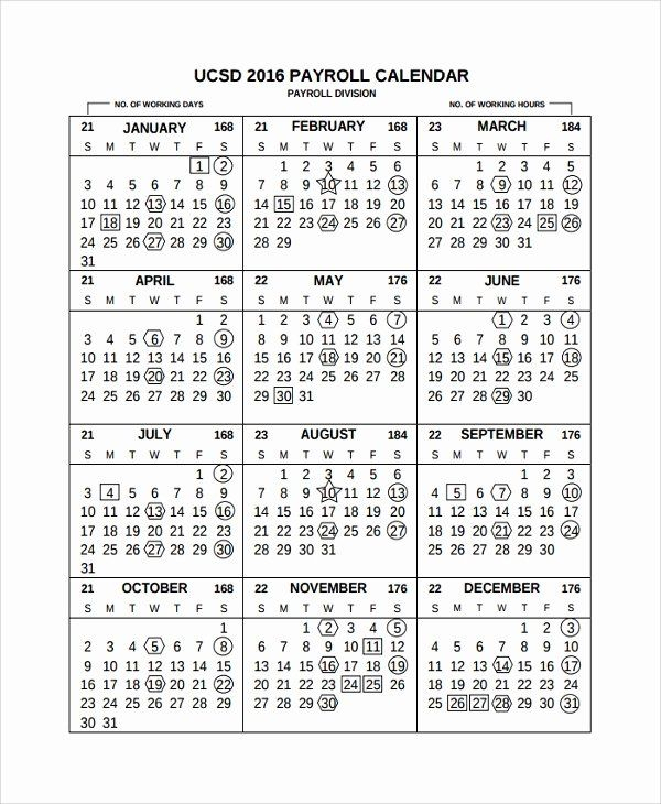 20+ 2021 Pay Period Calendar - Free Download Printable