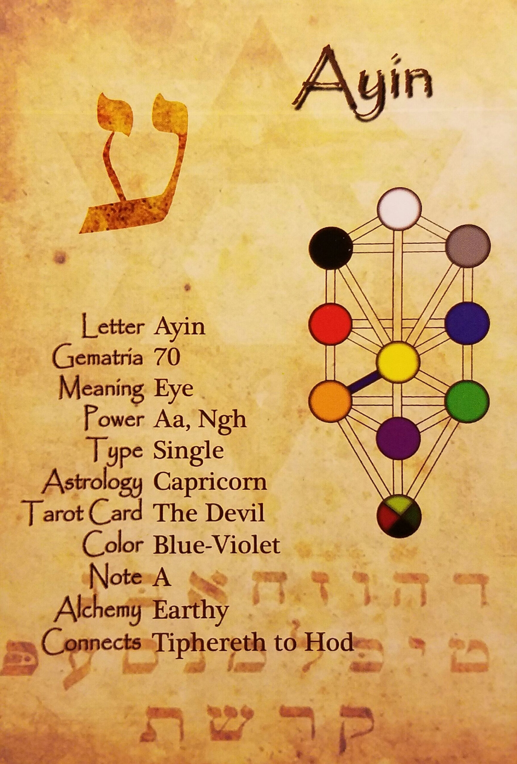 Ayin - Hebrew Letter Study Card | Hebrew Letters, Hebrew