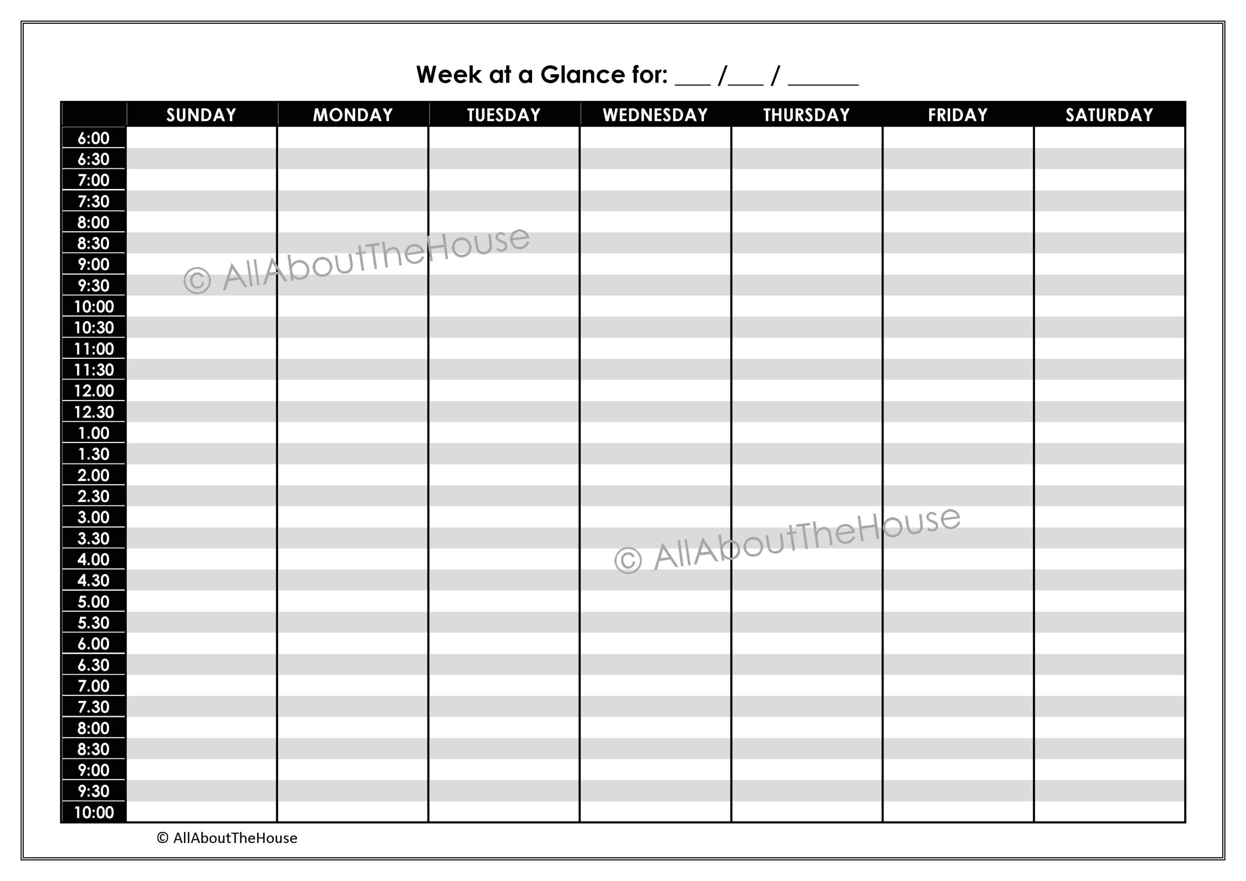 Daily Calendar Template 30 Minute Increments | Williamson