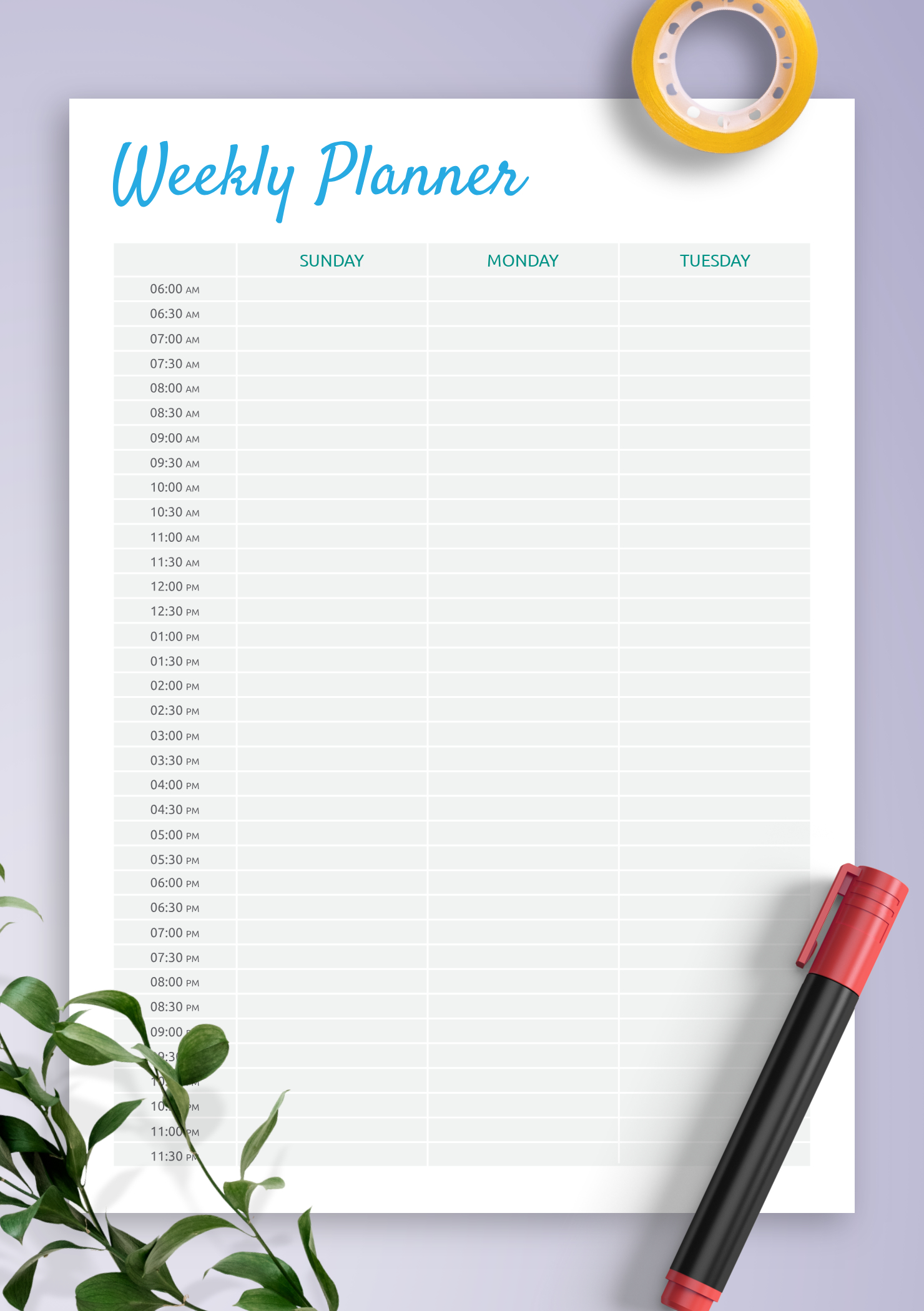 Download Printable Two-Page Weekly Hourly Scheduler Pdf