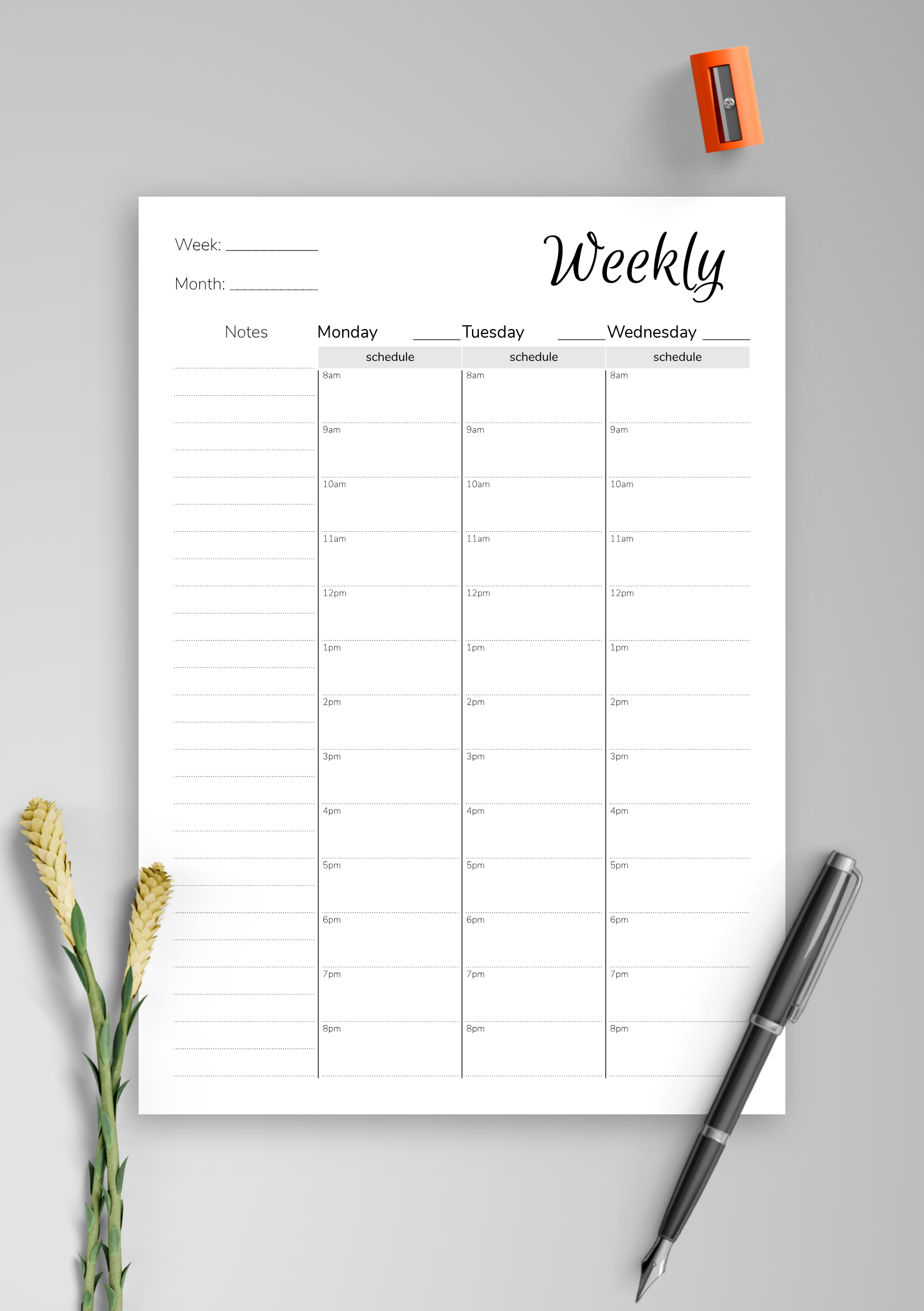Download Printable Weekly Hourly Planner With Notes