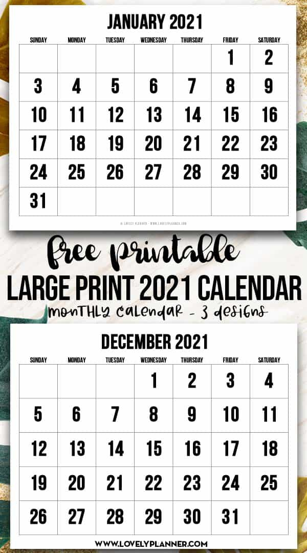 Free Printable Large Print 2021 Calendar - 12 Month