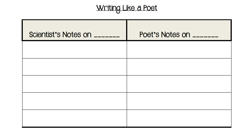 Jennifer&#039;S Teaching Tools: Writing Poetry