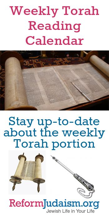 Learn About The Torah With Us! Keep Up With The Weekly