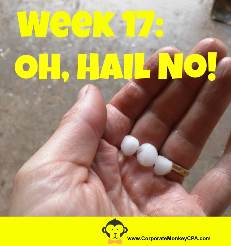 Week 17: Oh, Hail No! - Corporate Monkey, Cpa