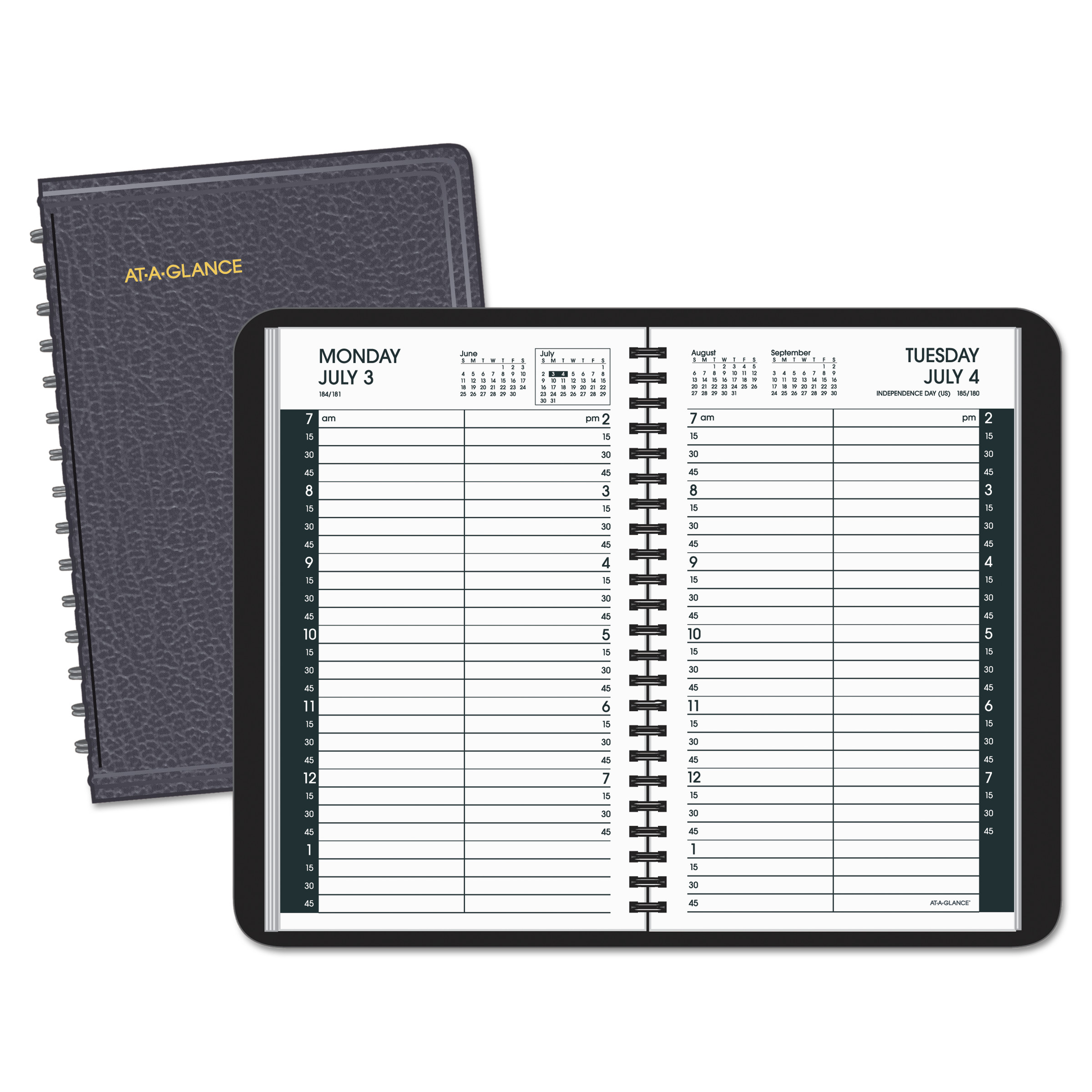 At-A-Glance Daily Appointment Book With 15-Minute